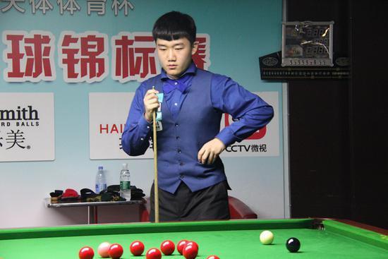 天鹅的理想 天鹅的理想