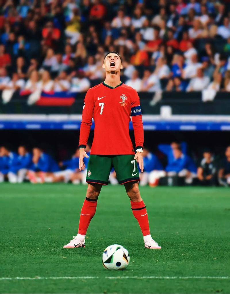 到了与顶级 到了与顶级