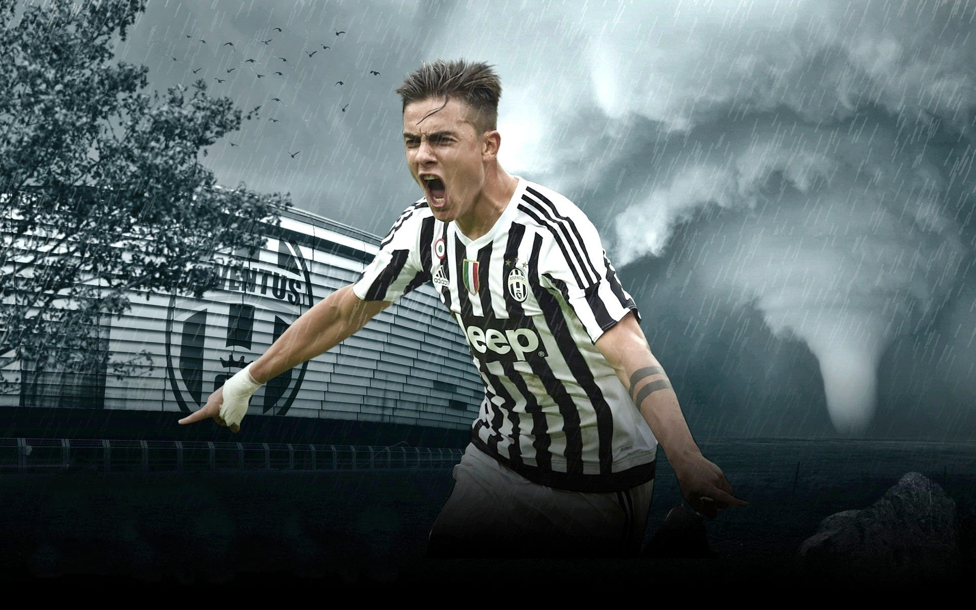 主帅私下表 主帅私下表